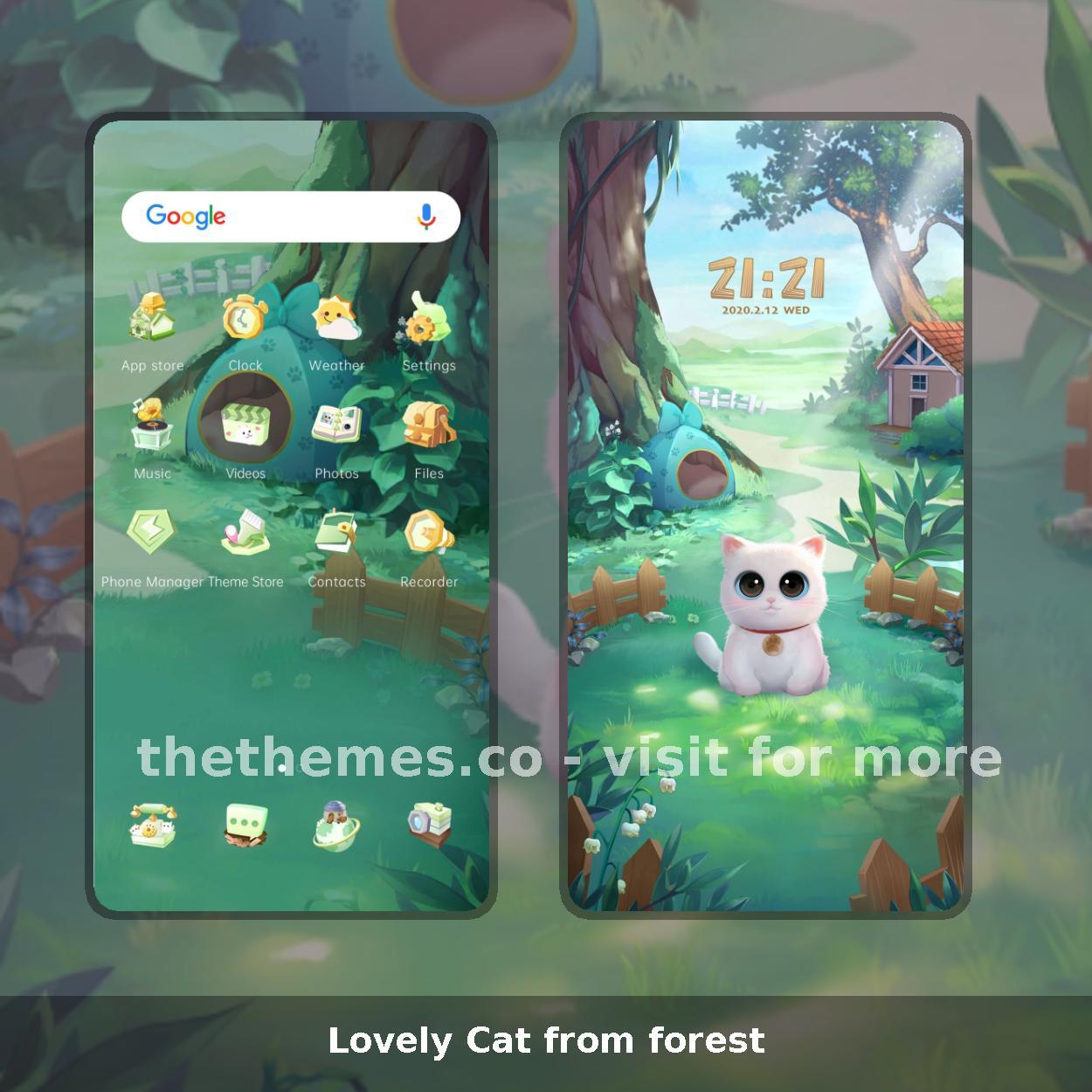 Lovely Cat from forest