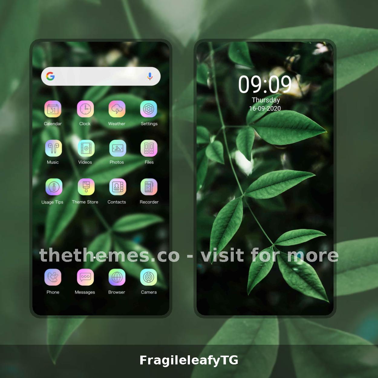 FragileleafyTG