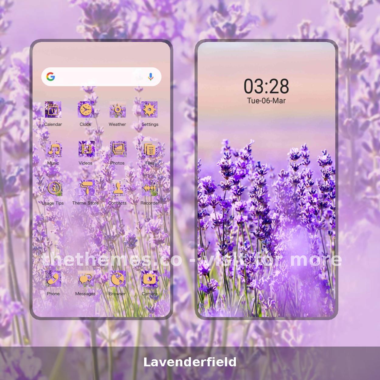 Lavenderfield