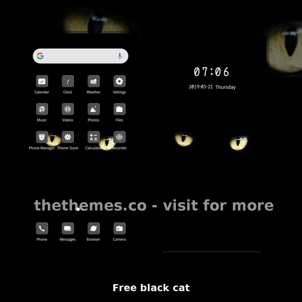 Free black cat