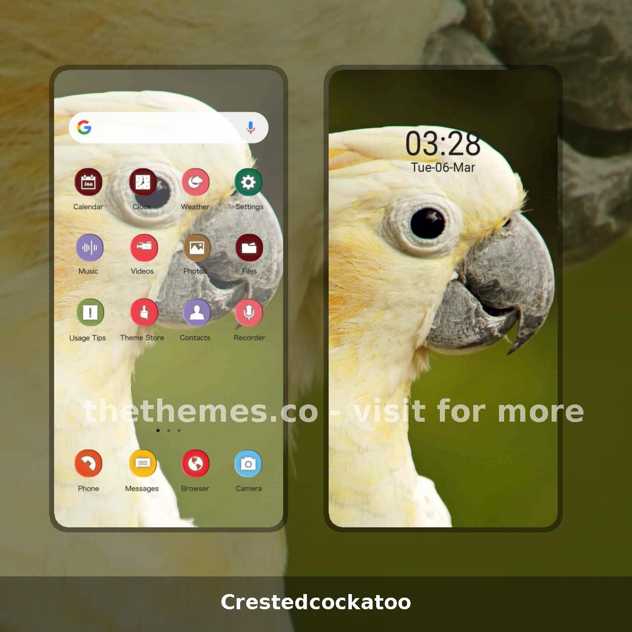 Crestedcockatoo