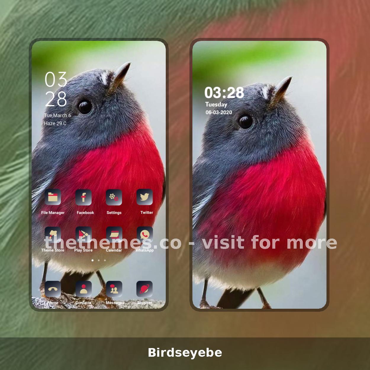 Birdseyebe