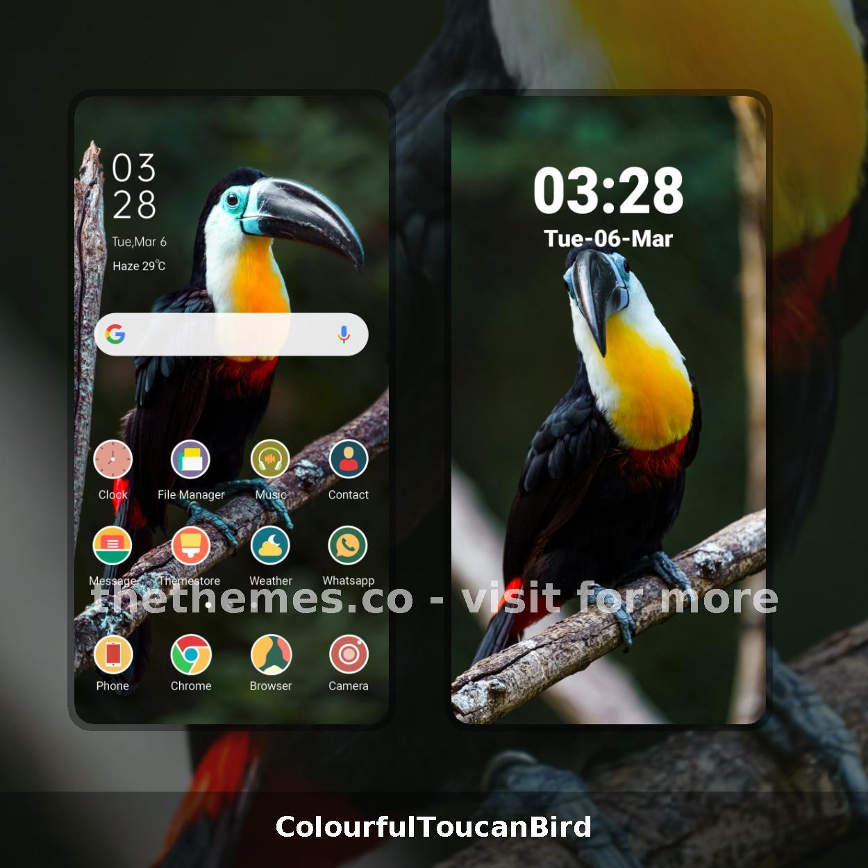 ColourfulToucanBird