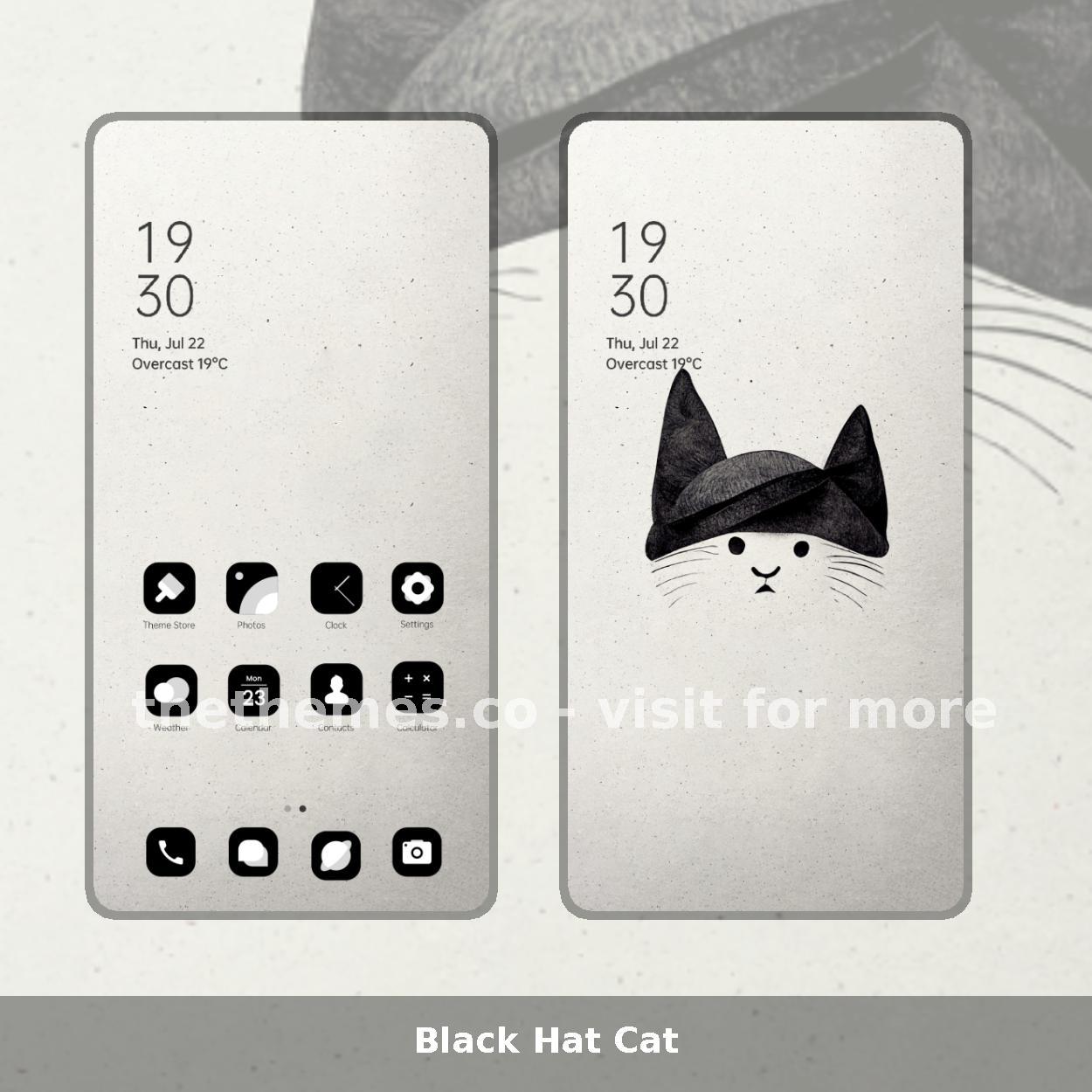 Black Hat Cat