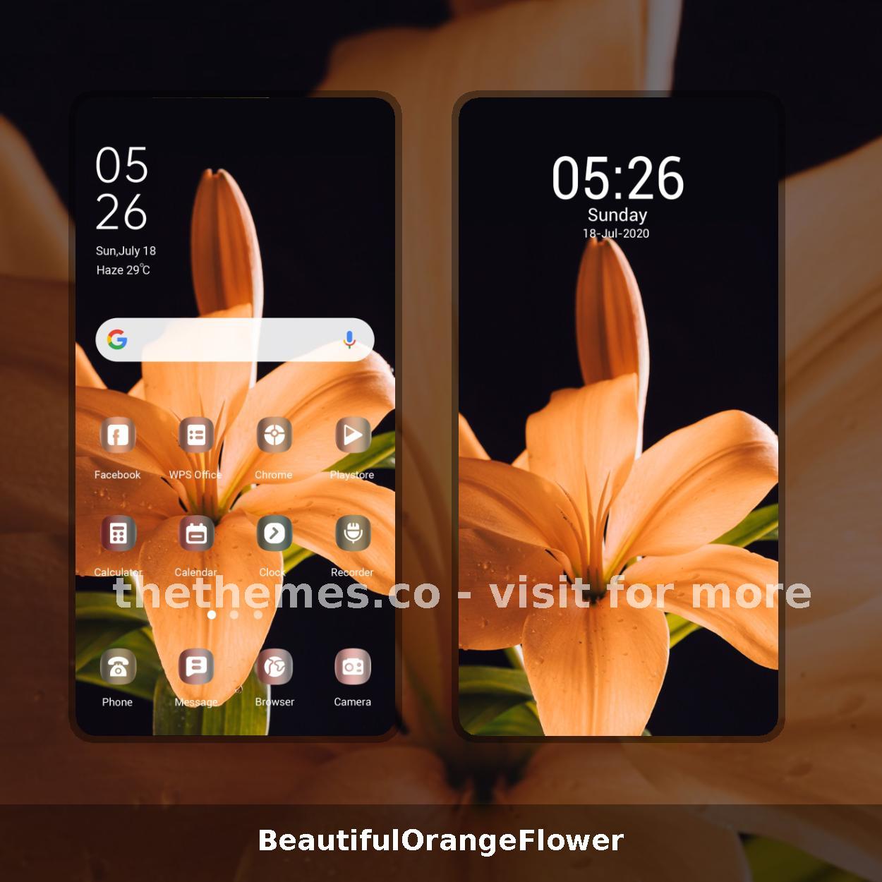BeautifulOrangeFlower