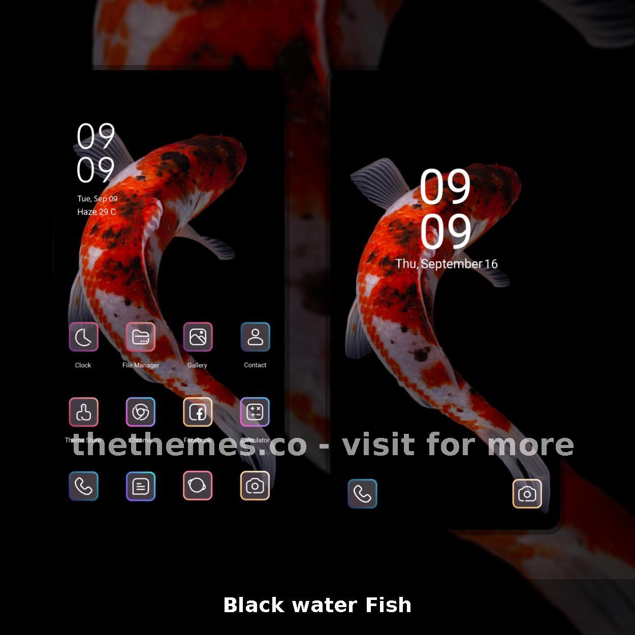 Black water Fish